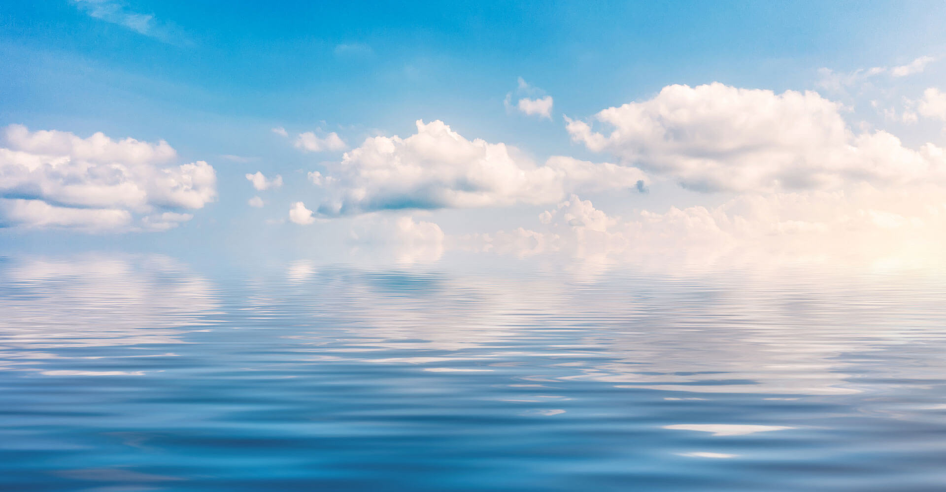 Pharmaceutical-Grade Precision, U.S.-Made Quality.